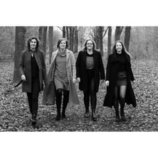 Van Westrhenen Woningmakelaardij o.g. logo